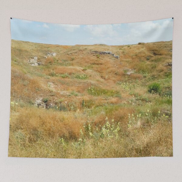Item preview, Steppe on a summer day, natural background  designed and sold by helenkaiy.