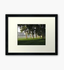 Tranquil summer mist Framed Print