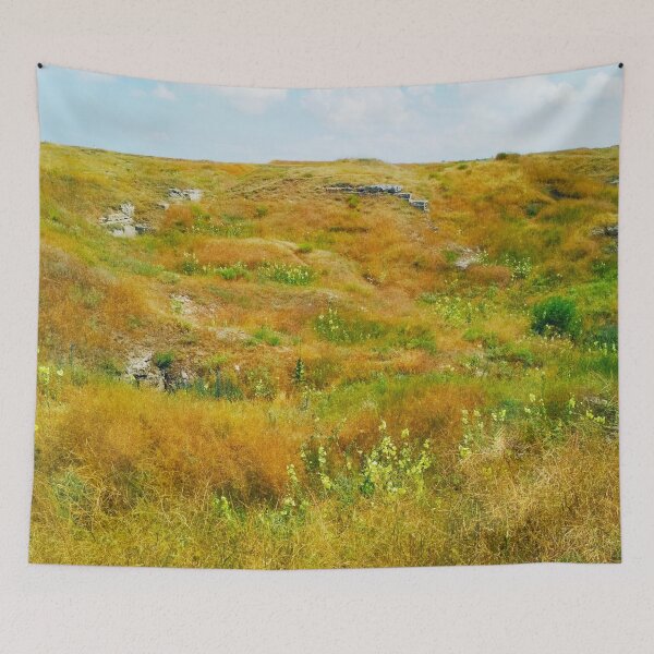 Item preview, Steppe on a summer day, natural background  designed and sold by helenkaiy.