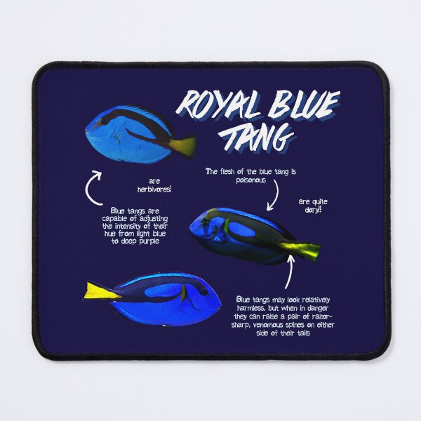 Item preview, Royal Blue Tang Fun Facts designed and sold by KyleNesas.