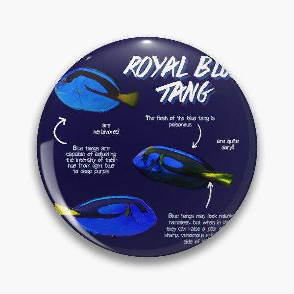 Item preview, Royal Blue Tang Fun Facts designed and sold by KyleNesas.