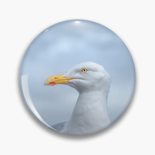 Item preview, Seagull, Atlantic ocean and beautiful cloudy sky, this is the Dingle Peninsula on Ireland’s Wild Atlantic Way, southwest Atlantic coast designed and sold by AlbertMi.