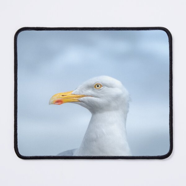 Item preview, Seagull, Atlantic ocean and beautiful cloudy sky, this is the Dingle Peninsula on Ireland’s Wild Atlantic Way, southwest Atlantic coast designed and sold by AlbertMi.