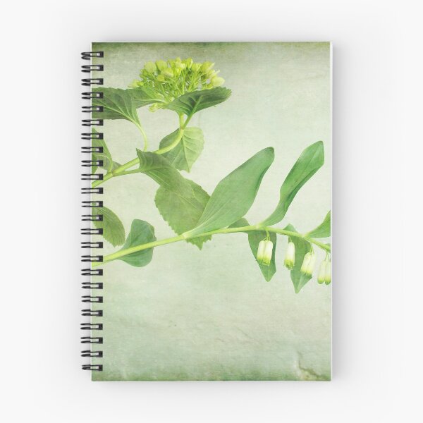 Item preview, White Hydrangea and King Soloman's Seal designed and sold by Clare Colins.