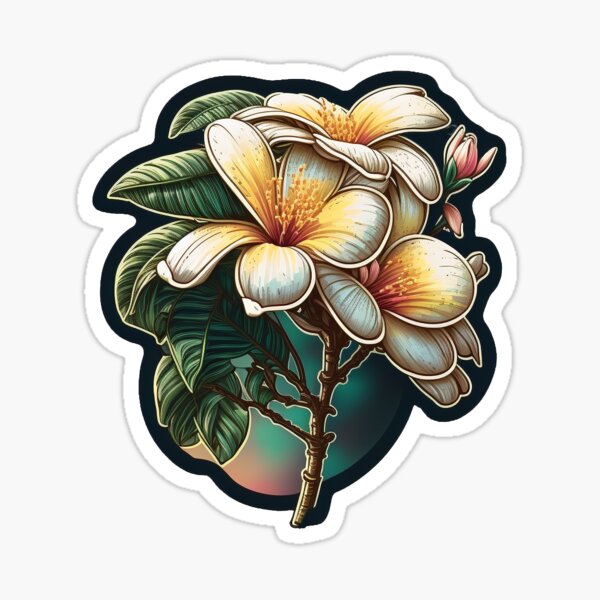 Frangipani Sticker Sticker For Sale By Razz3 Redbubble