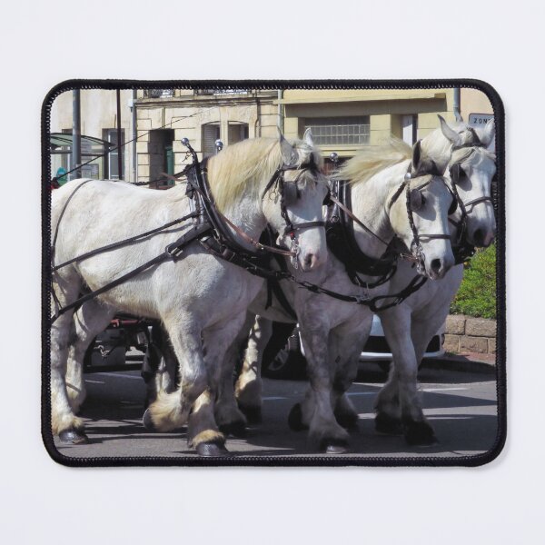 Item preview, White Horses & Carriage designed and sold by wiggyofipswich.