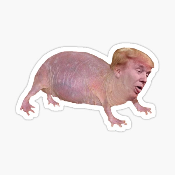 Naked Mole Trump Sticker