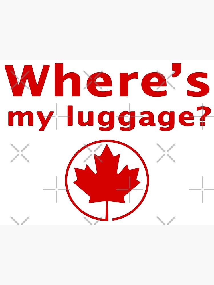 "Where's my luggage? Airlines charging high rates for
