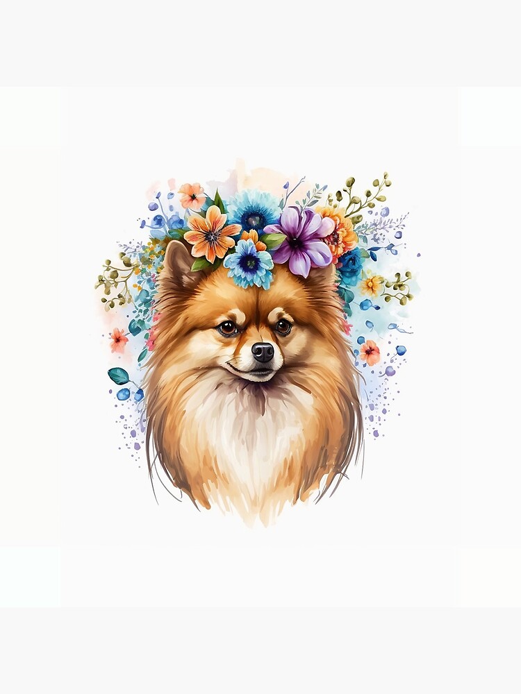 Original pomeranian hot sale