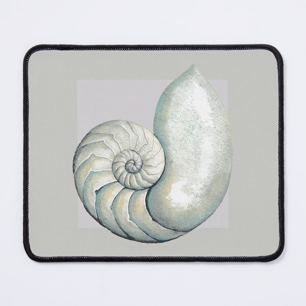 Item preview, Nautilus sea shell in pearl grey designed and sold by LisaLeQuelenec.