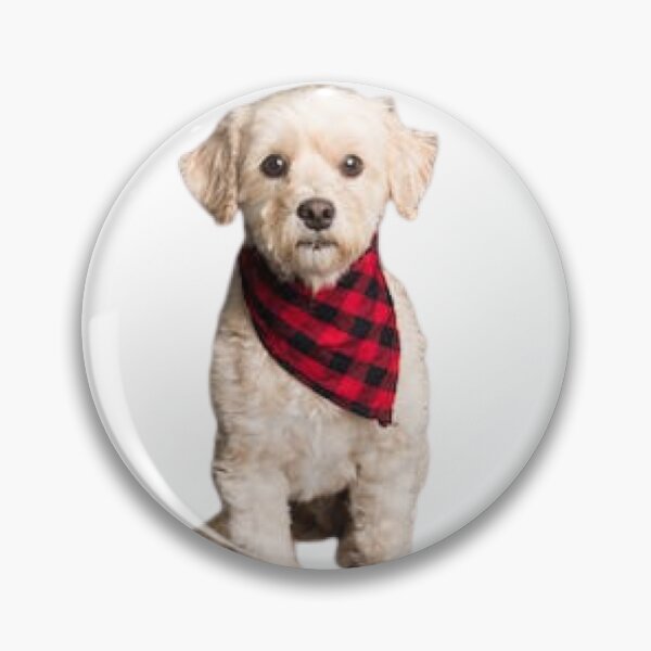Item preview, white pony pet bandana designed and sold by Casashort.