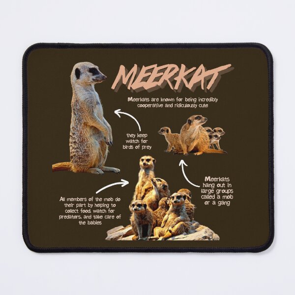 Item preview, Meerkat Fun Facts designed and sold by KyleNesas.