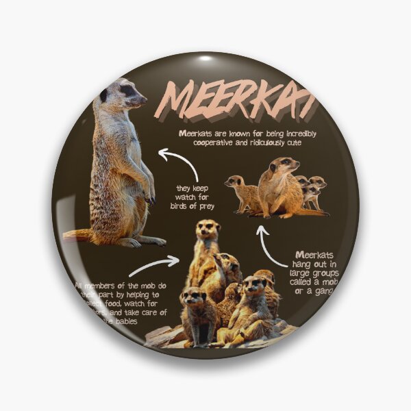 Item preview, Meerkat Fun Facts designed and sold by KyleNesas.