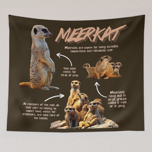 Item preview, Meerkat Fun Facts designed and sold by KyleNesas.