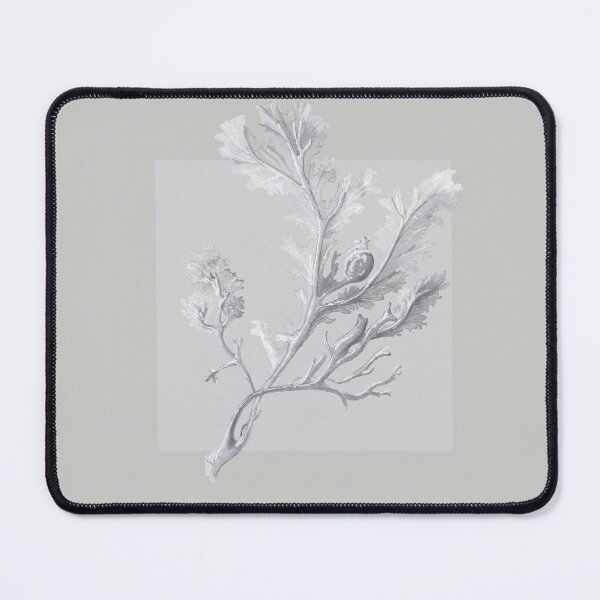 Item preview, Botanical seaweed in pearl grey designed and sold by LisaLeQuelenec.