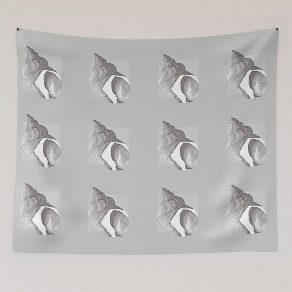 Item preview, Whelk shell in pearl grey designed and sold by LisaLeQuelenec.