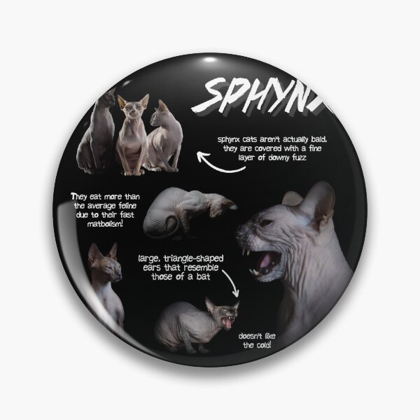 Item preview, Sphynx Cat Fun Facts designed and sold by KyleNesas.