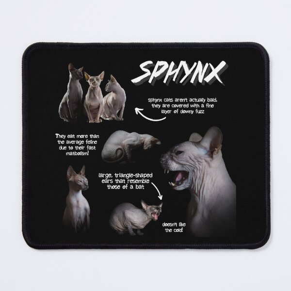 Item preview, Sphynx Cat Fun Facts designed and sold by KyleNesas.