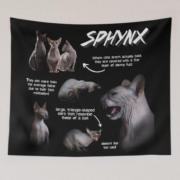 Item preview, Sphynx Cat Fun Facts designed and sold by KyleNesas.