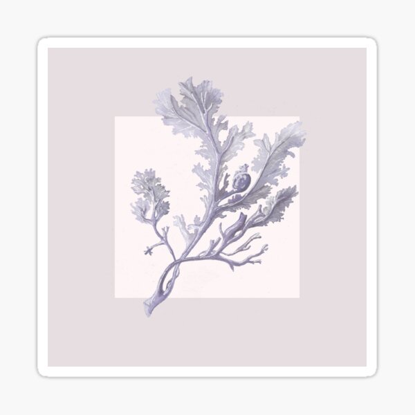 Copy of Botanical seaweed in pearl blush Sticker