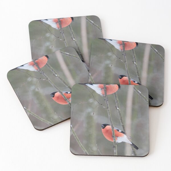 Item preview, Make it two. Eurasian bullfinch designed and sold by Jouko Lehto Photography.
