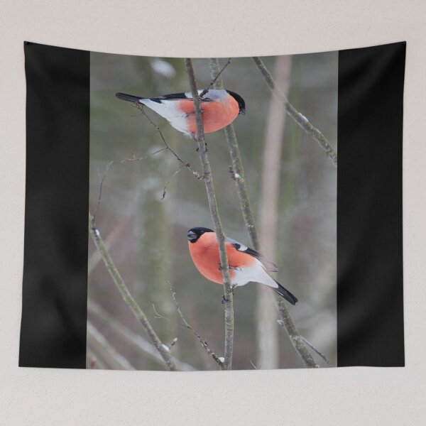 Item preview, Make it two. Eurasian bullfinch designed and sold by Jouko Lehto Photography.