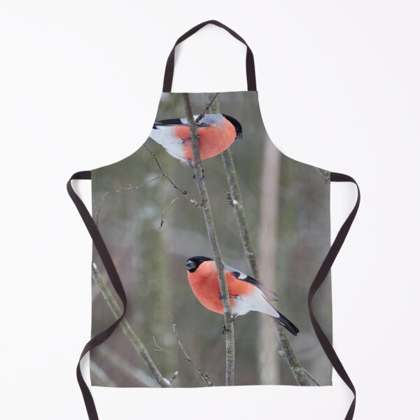 Item preview, Make it two. Eurasian bullfinch designed and sold by Jouko Lehto Photography.
