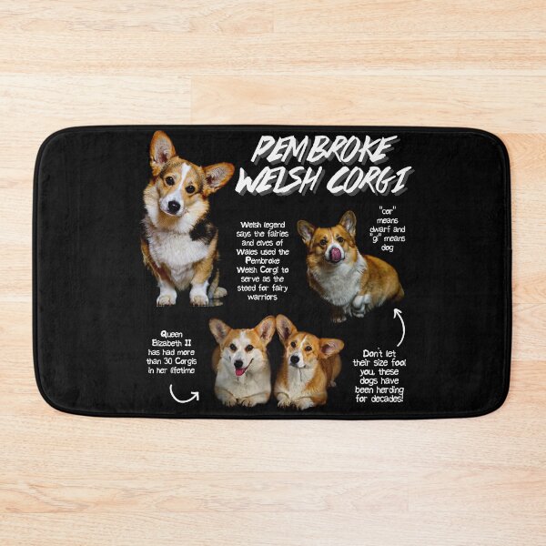 Item preview, Permbroke Welsh Corgi Fun Facts designed and sold by KyleNesas.