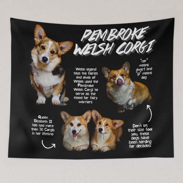 Item preview, Permbroke Welsh Corgi Fun Facts designed and sold by KyleNesas.