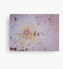 Oleo Metal Print