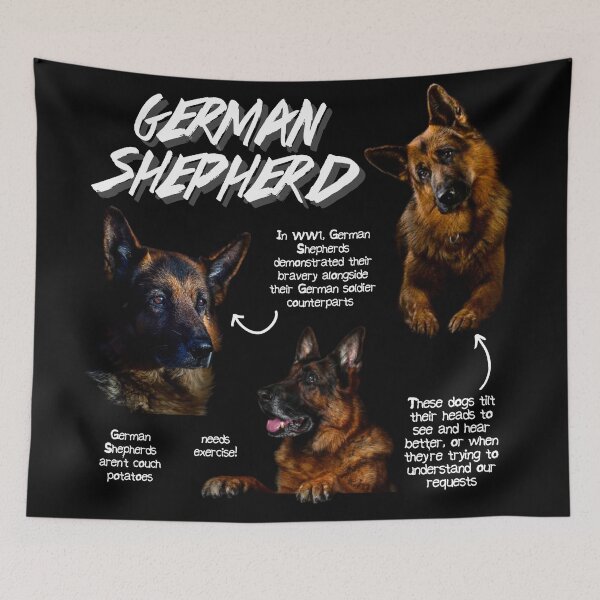 Item preview, German Shepherd Fun Facts designed and sold by KyleNesas.