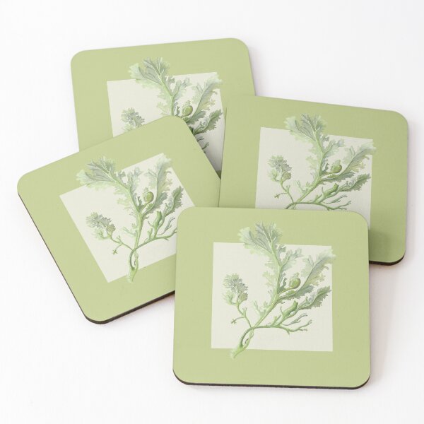 Item preview, Botanical seaweed in pear designed and sold by LisaLeQuelenec.