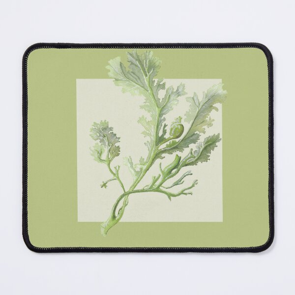 Item preview, Botanical seaweed in pear designed and sold by LisaLeQuelenec.