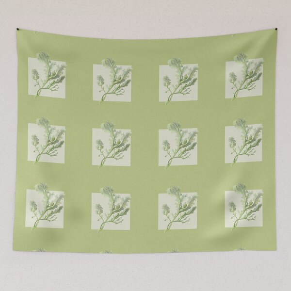 Item preview, Botanical seaweed in pear designed and sold by LisaLeQuelenec.