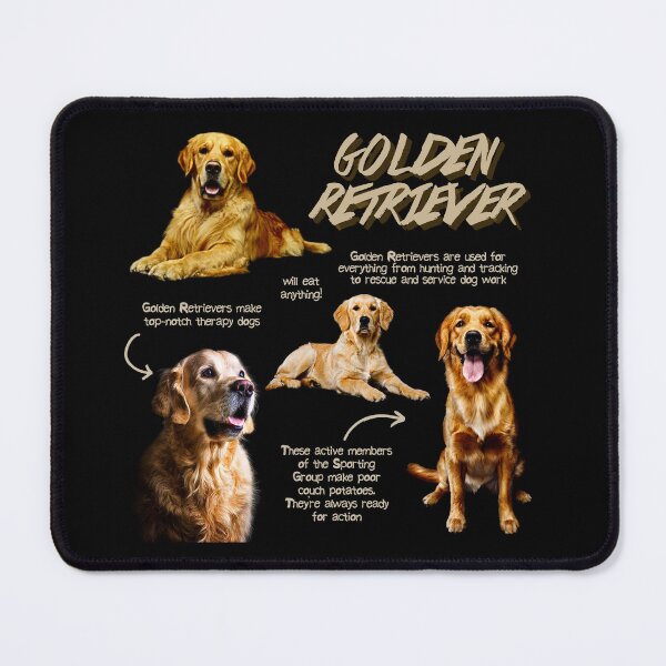 Item preview, Golden Retriever Fun Facts designed and sold by KyleNesas.