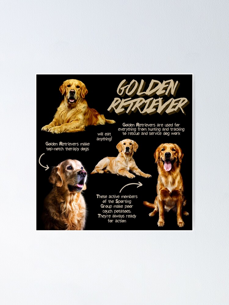 Fact Retriever Mother Facts Mug (Classic) at