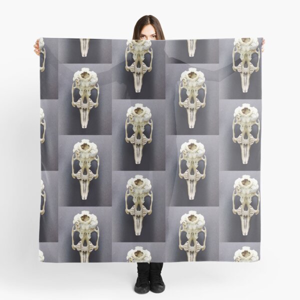 Kaninchen Schadel Horror Kieferknochen Skelett Nighmare Bose Rpg Meistverkauften Meistverkauften Redbubble Kunstler Von Scottneil Redbubble