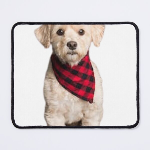 Item preview, white pony pet bandana designed and sold by Casashort.