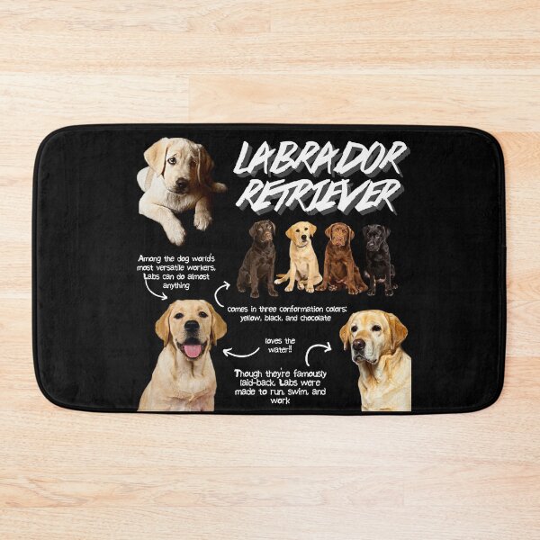 Artikelvorschau, Labrador Retriever Fun Facts entworfen und verkauft von KyleNesas.