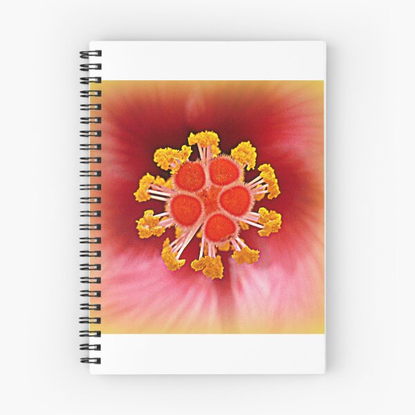 Item preview, Hibiscus closeup designed and sold by angel1.