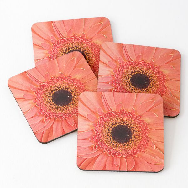 Item preview, Peach Gerbera Closeup designed and sold by angel1.