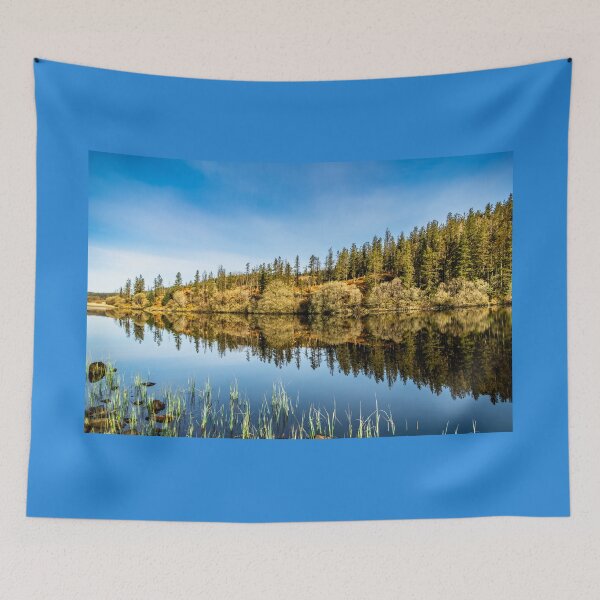 Item preview, Lough Achork in early spring, Lough Navar Forest in Enniskillen, United Kingdom designed and sold by AlbertMi.