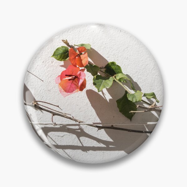 Artikelvorschau, Scharfe dornige Schatten - Elegante Bougainvillea auf weiß getünchter Stuckwand entworfen und verkauft von Georgia Mizuleva.