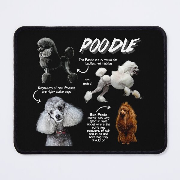 Item preview, Poodle Fun Facts designed and sold by KyleNesas.
