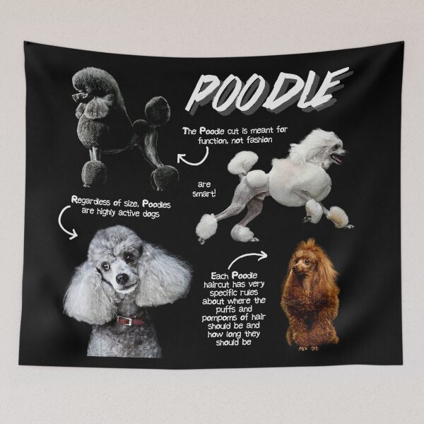 Item preview, Poodle Fun Facts designed and sold by KyleNesas.