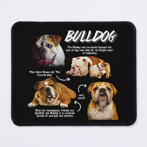 Item preview, Bulldog Fun Facts designed and sold by KyleNesas.