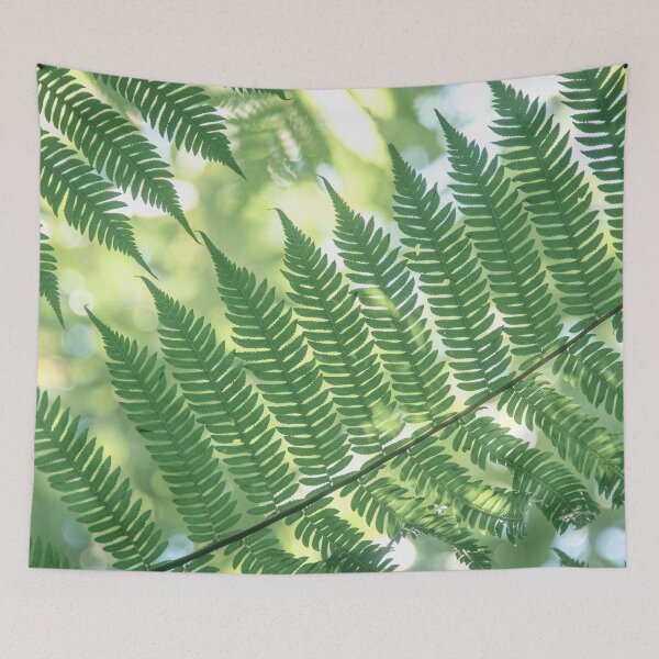 Item preview, Look To The Ferns designed and sold by missemedia.