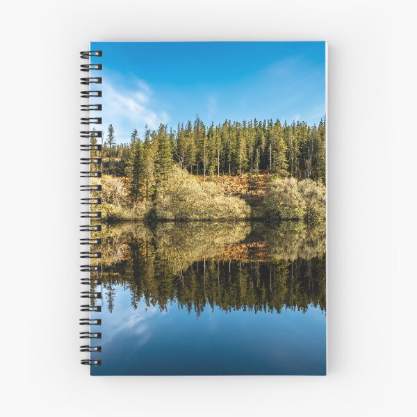 Item preview, Lough Achork in early spring, Lough Navar Forest in Enniskillen, United Kingdom designed and sold by AlbertMi.
