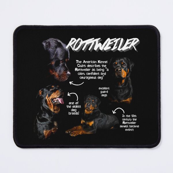 Item preview, Rottweiler Fun Facts designed and sold by KyleNesas.