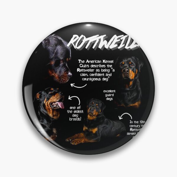 Artikelvorschau, Rottweiler Fun Facts entworfen und verkauft von KyleNesas.